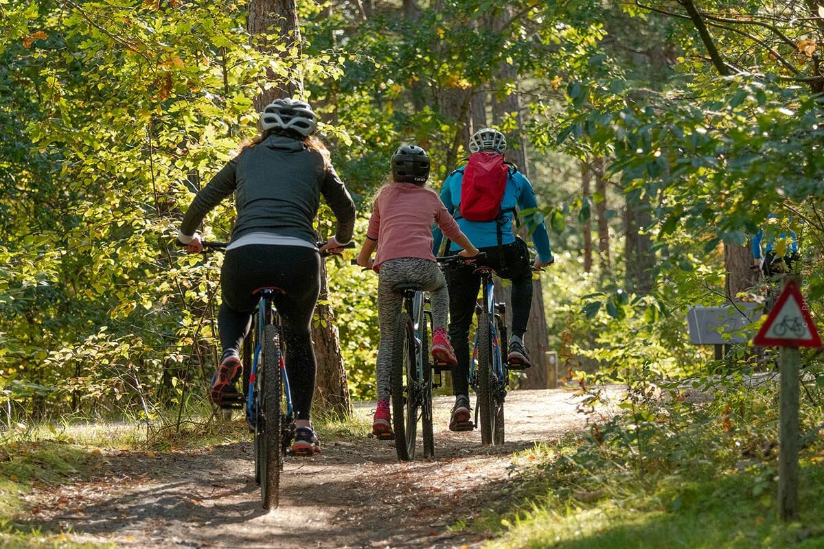 Una familia conduce por un bosque en un día soleado